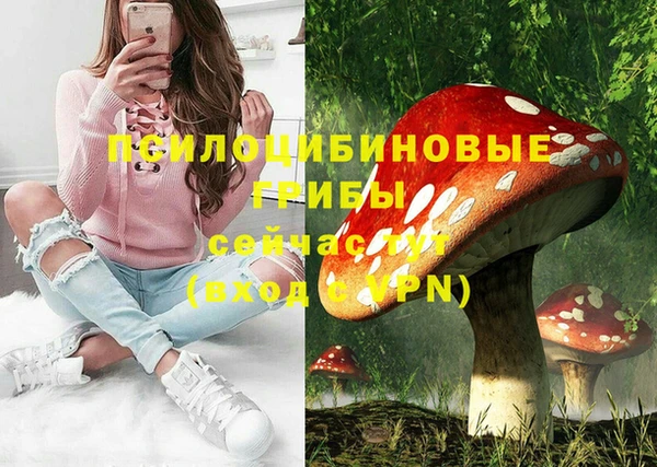 гидра Ивангород
