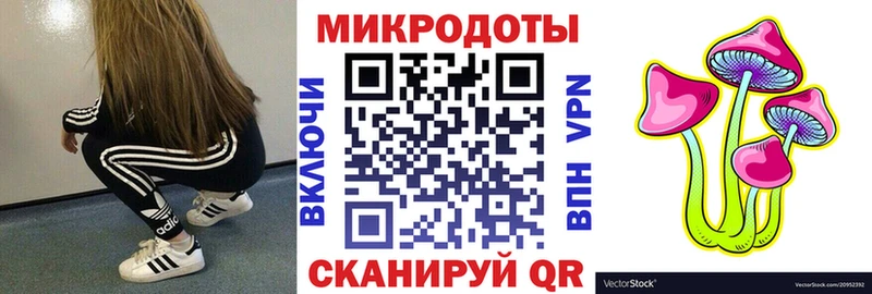 Купить  Жиздра  Псилоцибиновые грибы Cubensis 