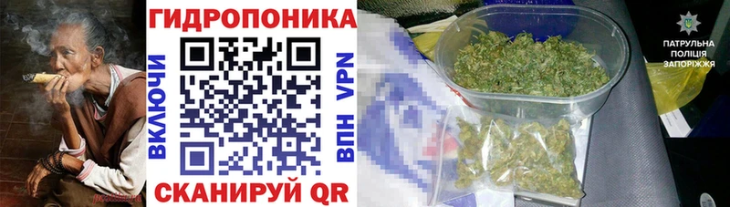 Бошки марихуана гибрид Жиздра