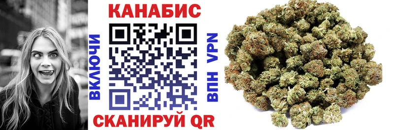 Купить закладки  Жиздра  Канабис гибрид 